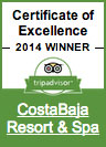 TripAdvisor: Costa Baja Resort & Spa